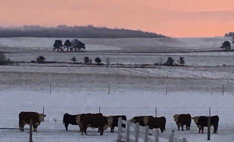 winter wonders sandy hill farm winter wonders sandy hill farm